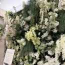 1445 | 더화이트베일 하객 후기 (+화이트베일홀, ATM)