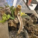 도쿄하나 등촌점 이미지