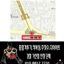 베어종합격투기