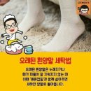 하얀세탁소 이미지