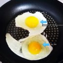 푸른들농장 이미지