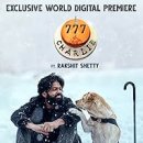 pet50로9960 이미지