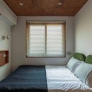 스테이시호일 이미지