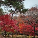 행정사사무소임광 이미지