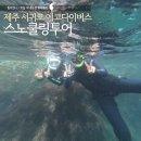 에코스쿠바 | 제주도 호핑투어 에코다이버스 섶섬 스노쿨링 후기 온수샤워 가능 추천