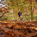 행정사 이의 사무소 이미지