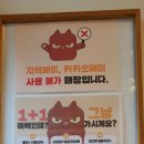 견생냥품 무인24시 안산초지역점 이미지