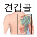 꿀바디 네이버블로그