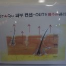김해피부관리실 구산동피부샵 올가스킨 모낭충 검사 후기