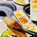 거북이 동네 이미지