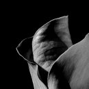 아산세계꽃식물원 6 이미지