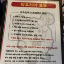 양반집 | 응암역 양꼬치 맛집 양반집 내돈내산 방문후기