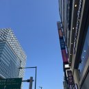 바리스타(2급) | 한솔요리학원 종로점 내일배움카드 바리스타2급과정 수강 후기