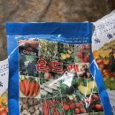 신진농약사 이미지