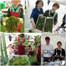 옥천상계공원 이미지