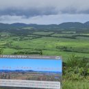 표선면-7 이미지