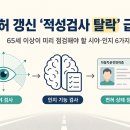매일교통(주)부일교통자가정비 | 운전면허 갱신 갔다가 ‘적성검사 탈락’ 줄줄이 — 65세 넘으면 미리 점검해야 할 시야·인지 6가지...
