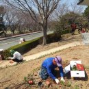 야생화단지내 이미지