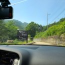 젤루느린달팽이 이미지