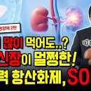 부모님 필수영양제. 간독성 신장독성이 없는 꿈의 항산화제 SOD 이미지