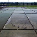gmo,2030년 한국인 멸종 경고? ㅡ불임급증?, 해법은? ㅡ 中·美 수입쌀에 1급 발암물질 함유 가능성…21년에만 49만톤 수입? 이미지