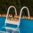 다가온 수영장 이미지