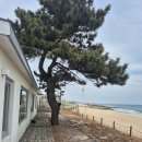 백야식당 | Ktx 타고 강릉 가기 2 _ 숙소 사근진엔과 백야 커피, 유천 가든