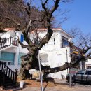 윤동주 유고 보존 정병욱 가옥 이미지