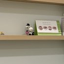 새하얀미소치과의원 이미지