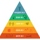 꽃들에게 이미지