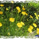 소롯길민박 이미지