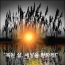 "복된 삶, 세상을 환하게!"(Blessed life, brightening the world!) 이미지