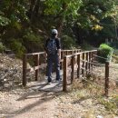 성돌목장 이미지