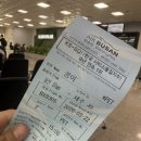 남원읍-96 | 제주2박3일 애견동반 여행후기 (울산에서 제주 에어부산이용)