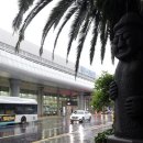 평화로(1) 이미지