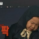 꼬막태 이미지