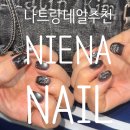 나트랑 네일추천 쇠맛네일, 자석젤 네일 추천 니에나 네일 솔직 후기