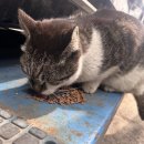 공임나라태전점 이미지