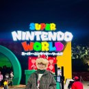 스튜디오 스윗치 미니 | 오사카(大阪市) 2025.12.31.~2026.1.4. Day 1-2 유니버셜 스튜디오 2026 카운트다운 파티패스/닌텐도월드