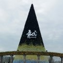 시티즌랜드 이미지