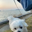 멍글벙글 이미지