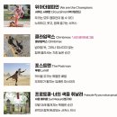 노들섬 | 노들섬 서울서커스페스티벌 🎪2026 총정리 (어린이날 행사, 예약, 주차 꿀팁)🤡