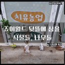 죠이월드 이미지