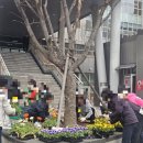 샐러디선유도역점 이미지