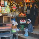 토토로마을 이미지