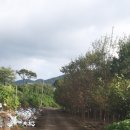 원평지마을회관 이미지