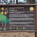 홍계마을 이미지