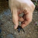 (주)인천1339에이엠에스 | [내돈내산] 인천 남동구 실내 동물원, 먹이주기 체험 가능한 쥬벅스 후기