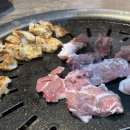 브라보 뒷고기 이미지