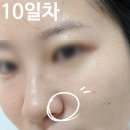 천연화장품 이수연코스메틱 10종 사용 후기